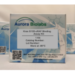 Kras G13D– cRAF Binding Assay Kit 